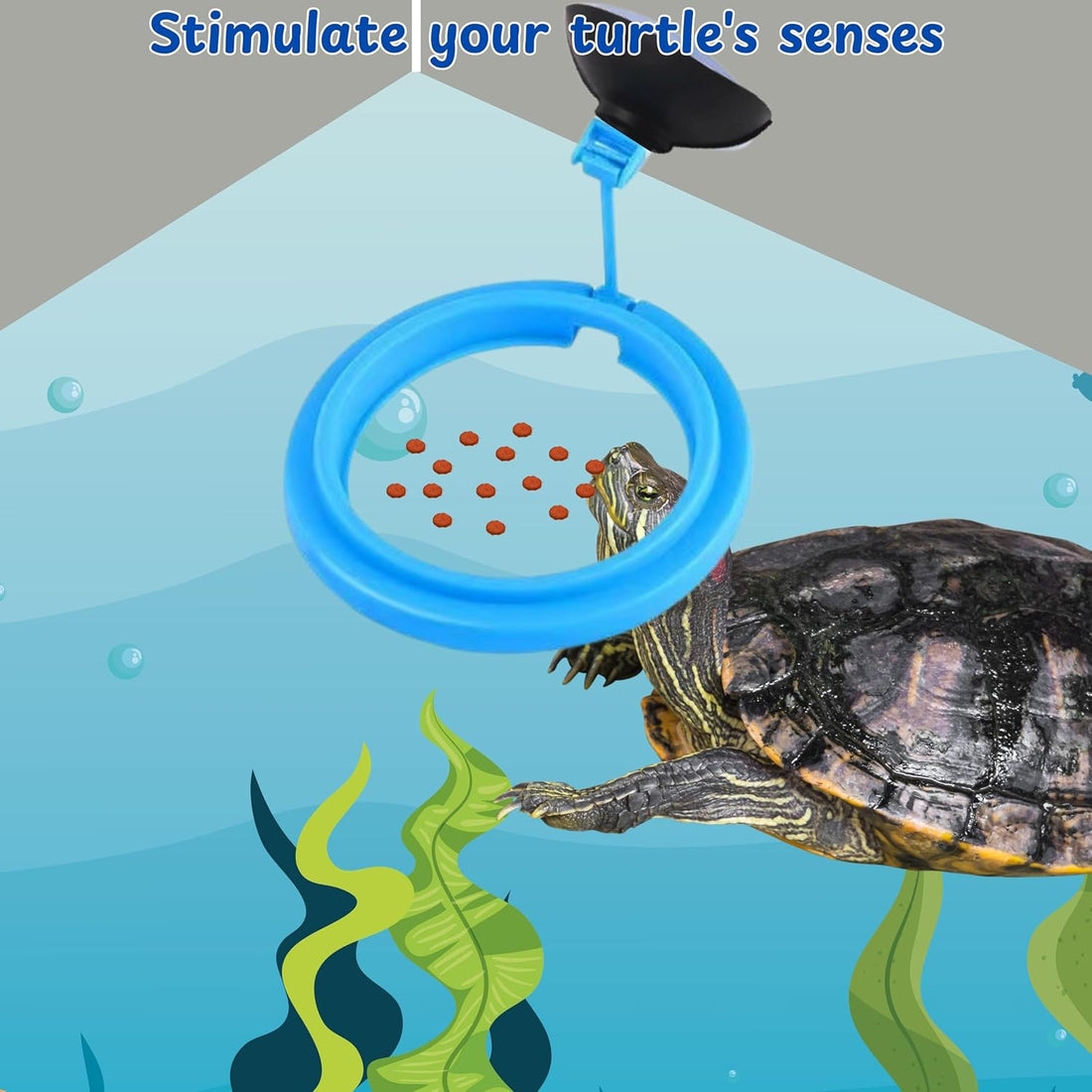 Turtle Feeding Ring for Fish Tank and 4pcs Nitrifying Balls Set