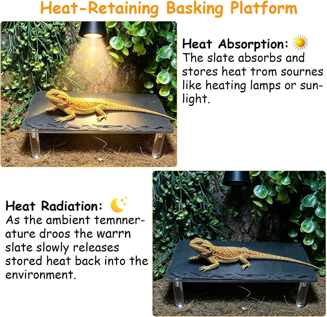 Bearded Dragon Basking Platform,Reptile Hide Cave with Slate Rock,S