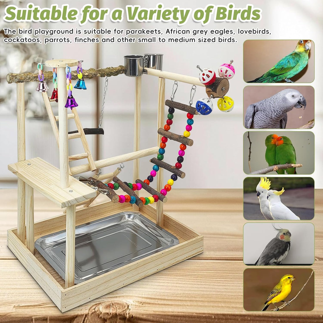 PINVNBY Bird Playground Parrot Natural Wooden Perch Stand Birds Gym