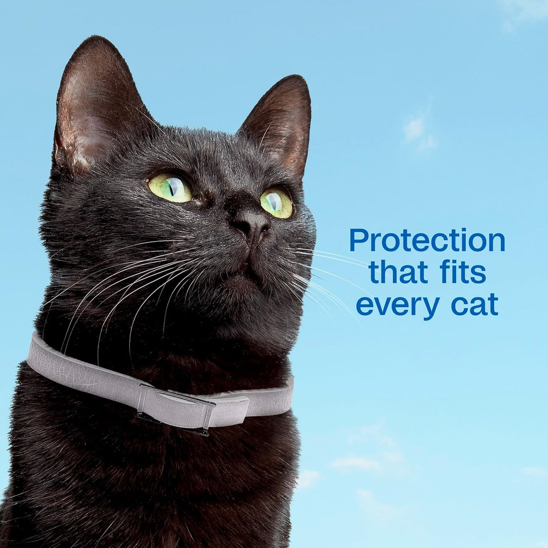 ADAMS Plus Flea & Tick Collar for Cats, Adjustable, 1 Count