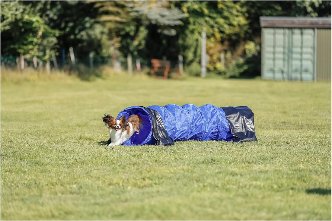 TRIXIE Dog Agility Tunnel– Dog Tunnel for Small Dogs or Cats Agility
