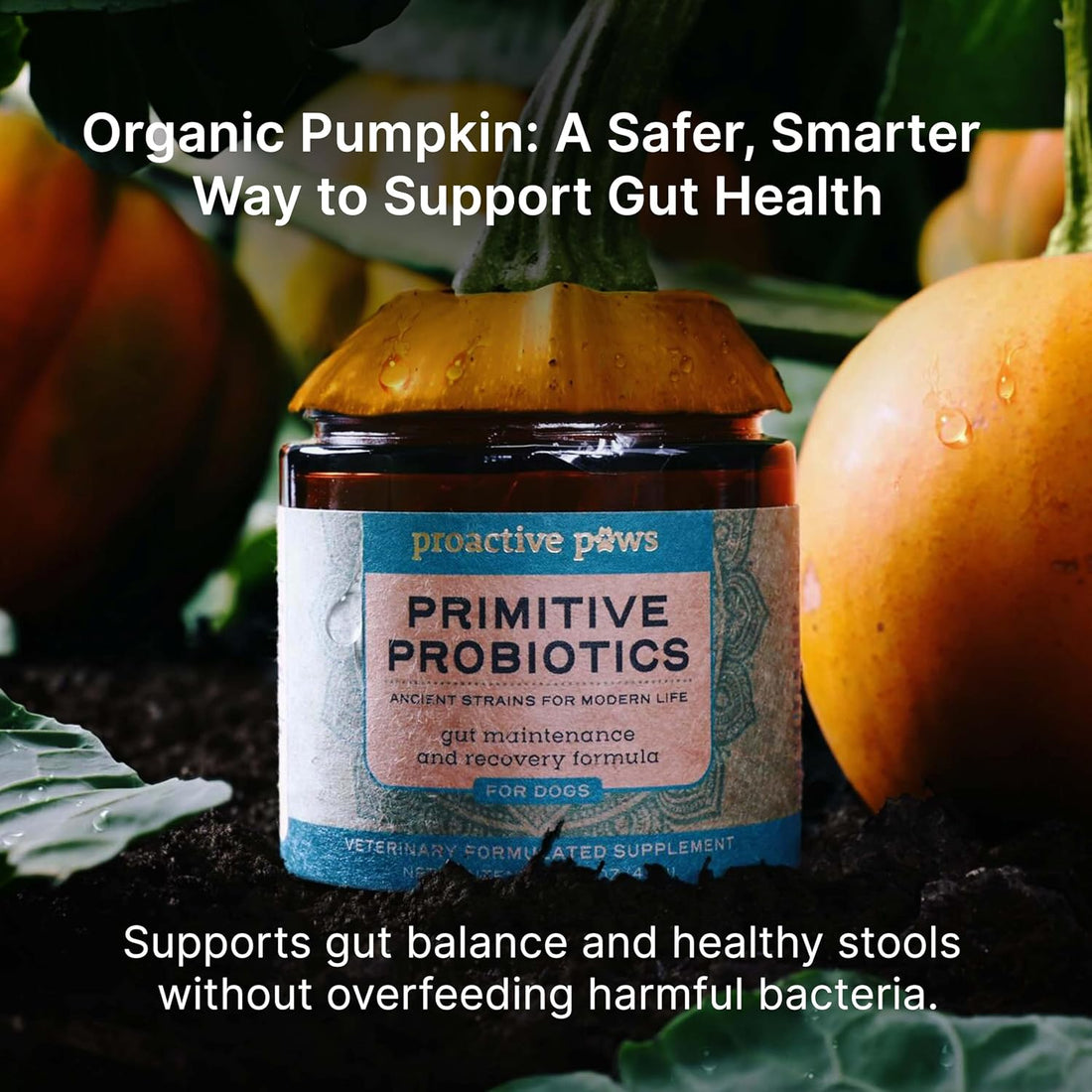 Proactive Paws Primitive Probiotics for Dogs