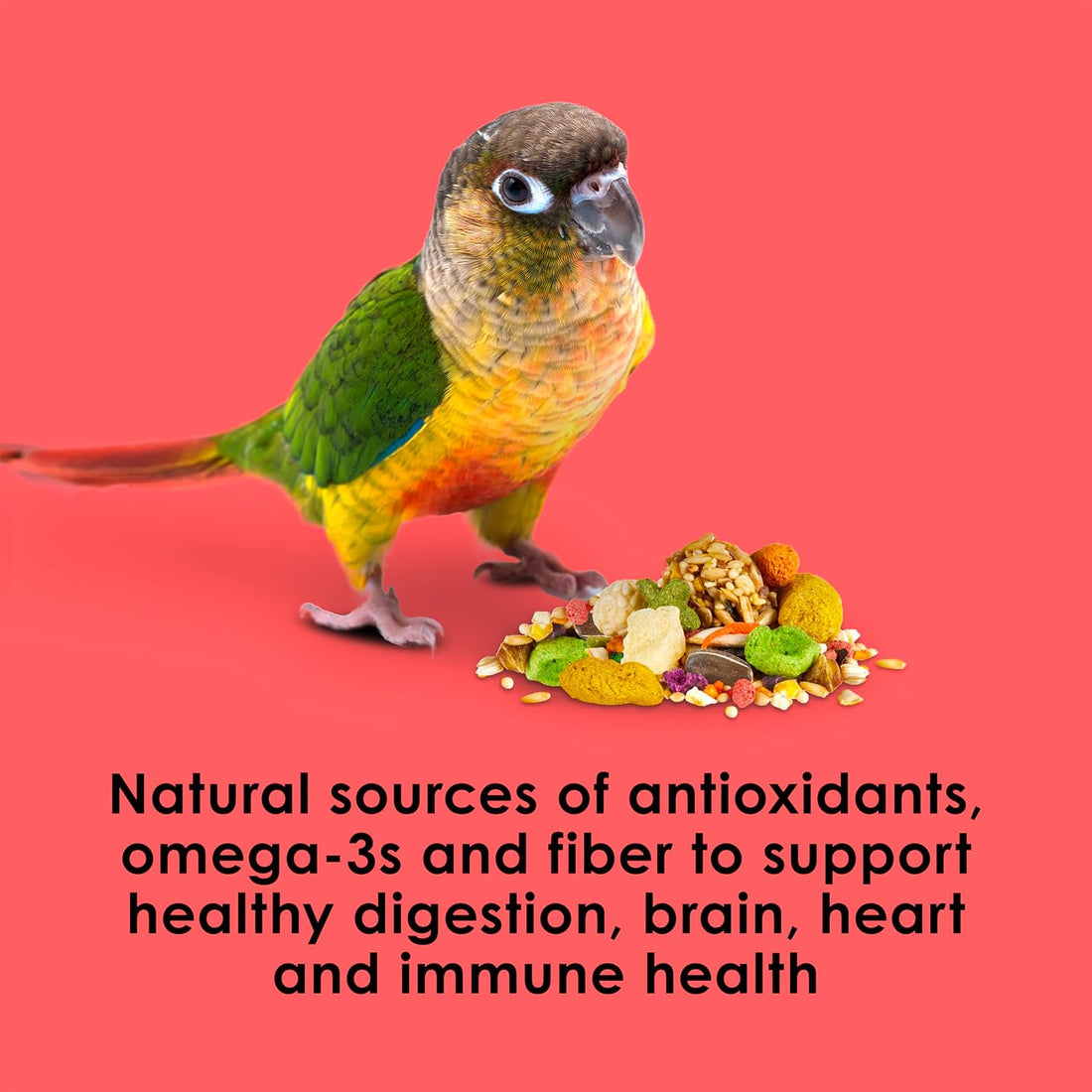 Kaytee Fiesta Conure Food, Nutritious and Fun Blend, Supports Skin