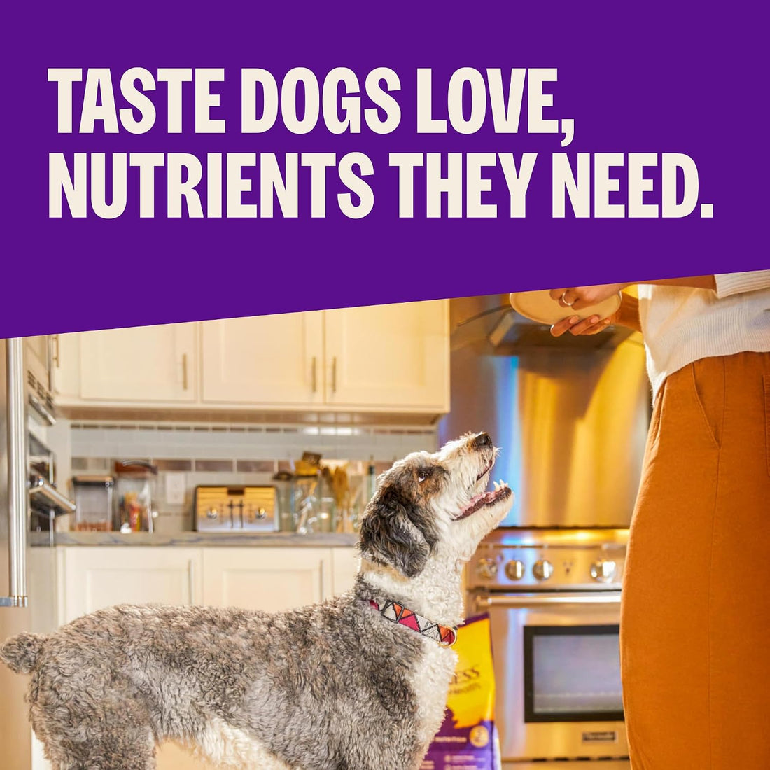 Wellness Complete Health Adult Dry Dog Food, Wholesome Grain Kibble