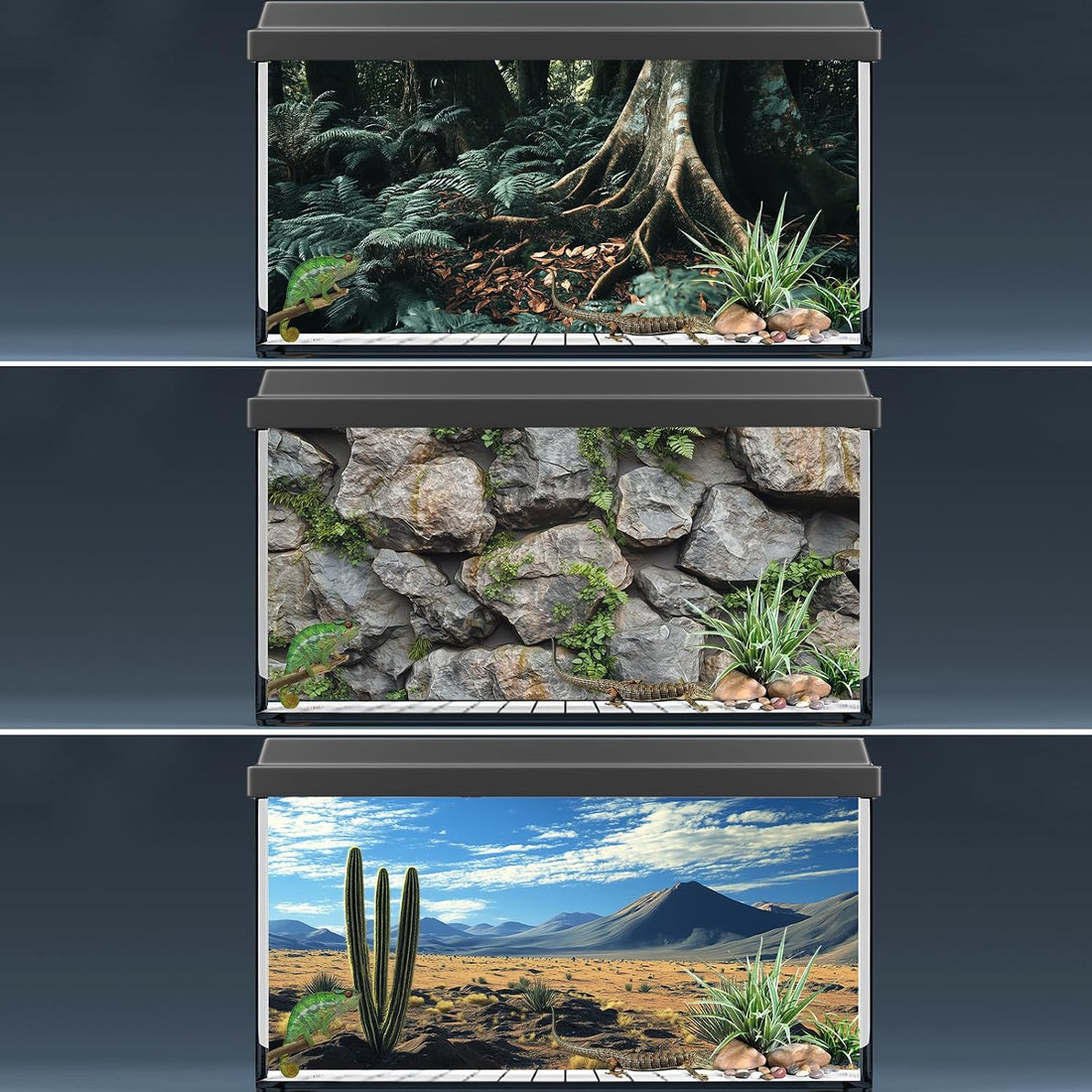 COMSUN 3 PCS Terrarium Background