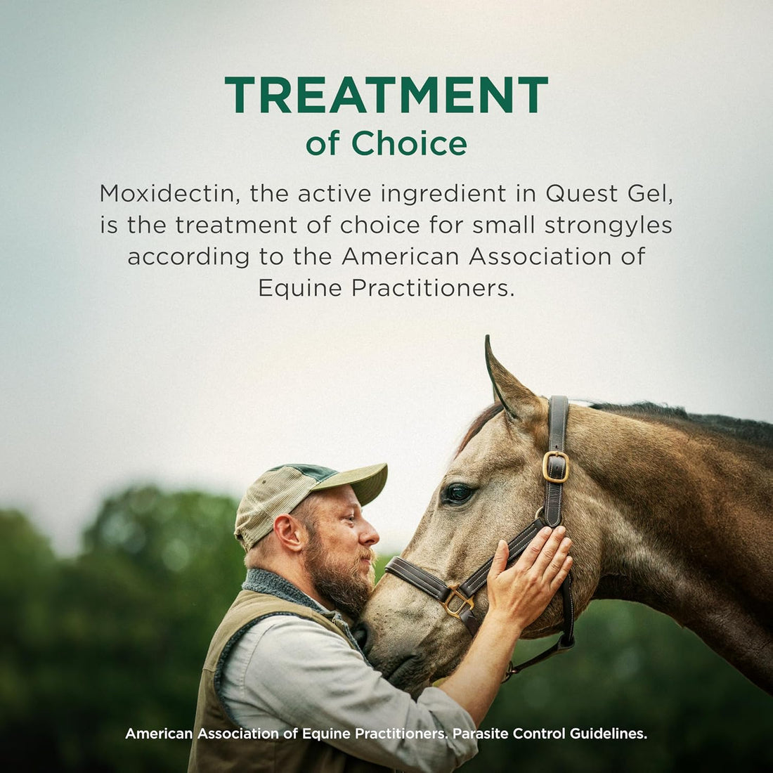 Quest (moxidectin) Gel Dewormer for Horses, 0.5 oz Syringe