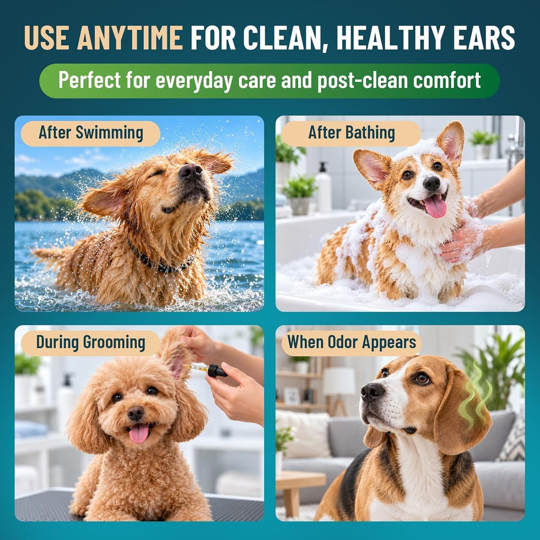 VICSOM Dog Ear Infection Treatment Drops