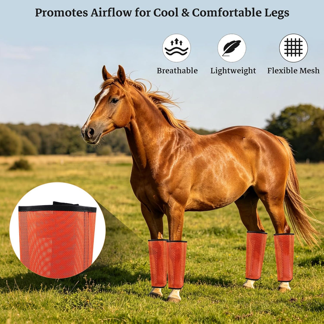 Mesh Horse Fly Boots, Set of 4