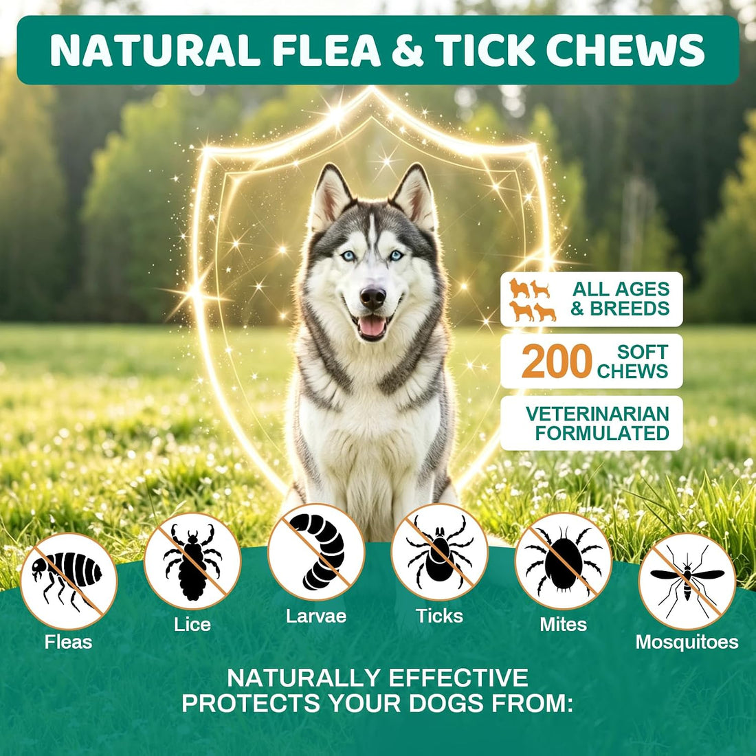 Flea and Tick Chews for Dogs, Natural Coat Care Nutritional Supplement