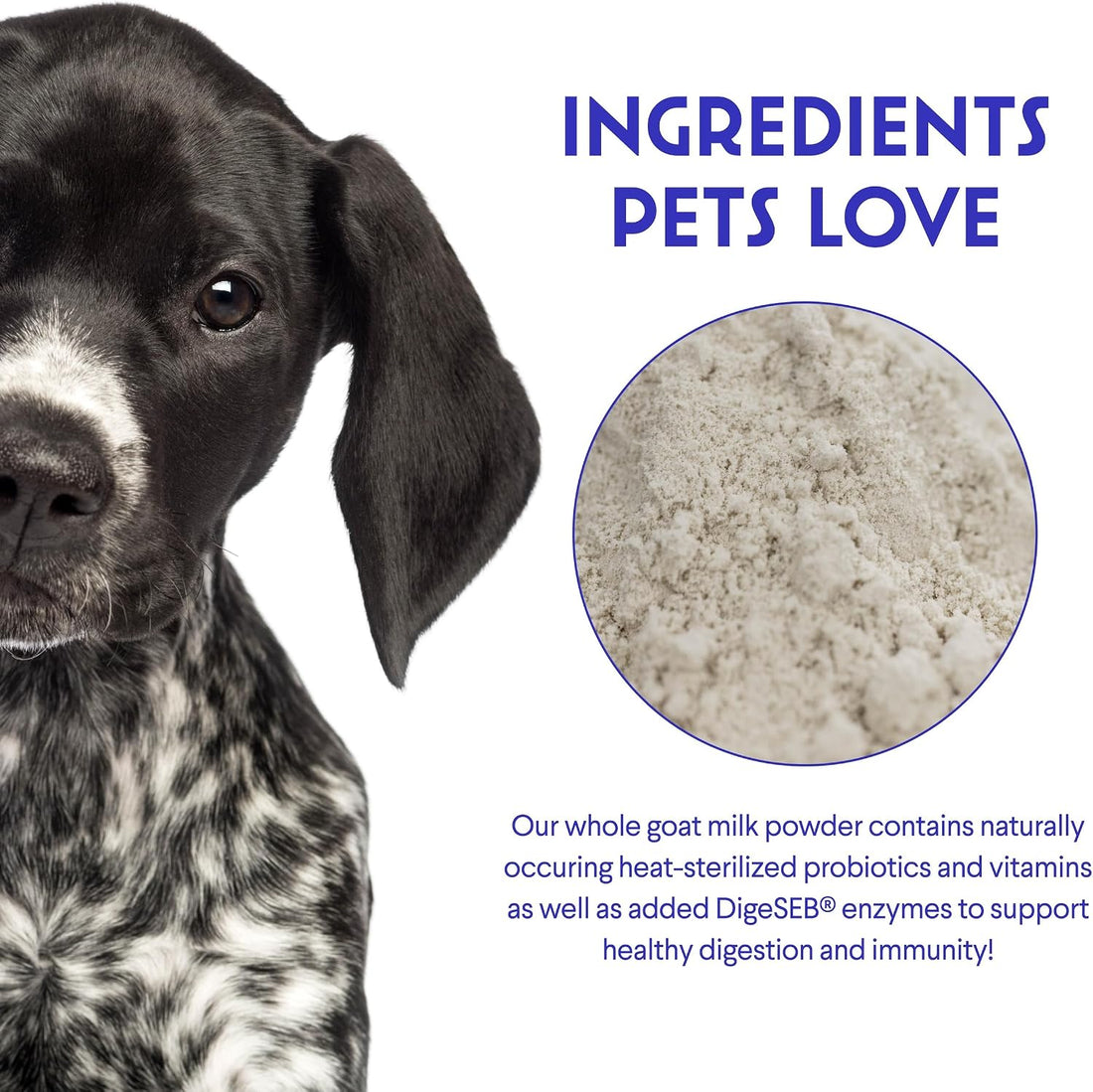 Wonder Paws Premium Goat Milk Powder for Dogs – Supports Digestion