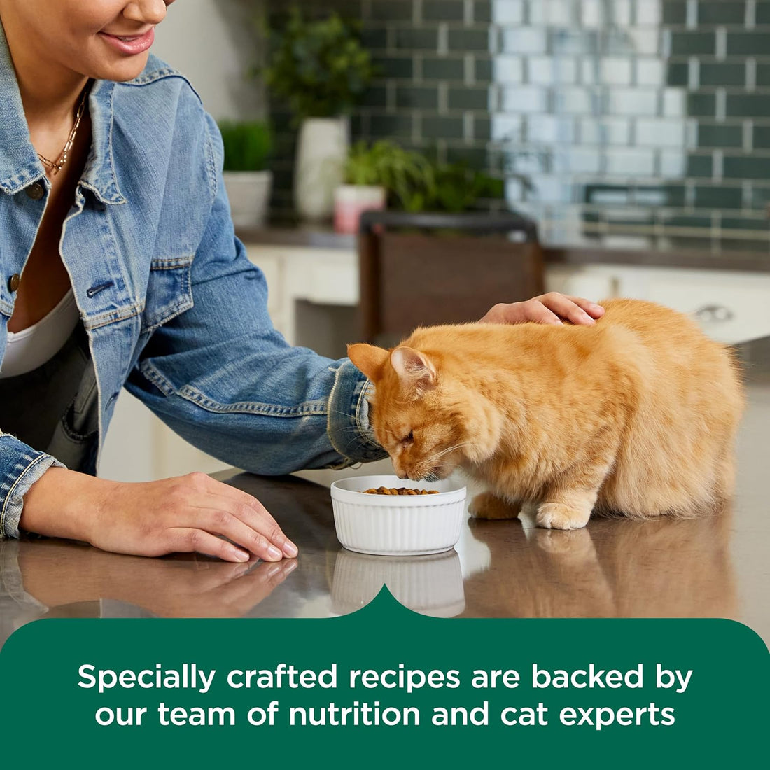 Nutrish Indoor Complete Chicken, Lentils & Salmon Recipe Dry Cat Food