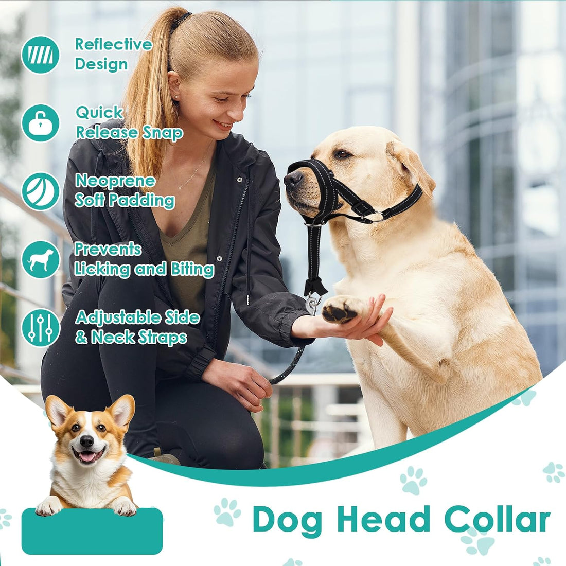 Dog Headcollar, Anti-Pull Dog Collar