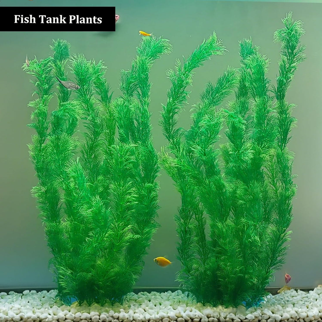 Extra Tall Aquarium Plants 23.6 Inch