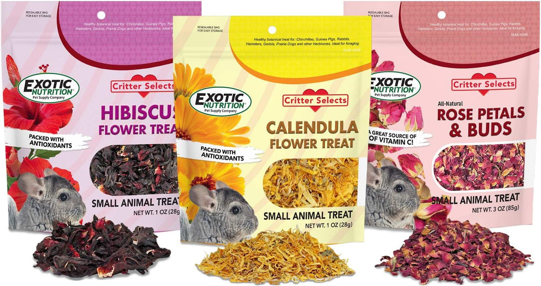 Exotic Nutrition Flower Treat 3 Pack - Healthy Assortment - Hibiscus