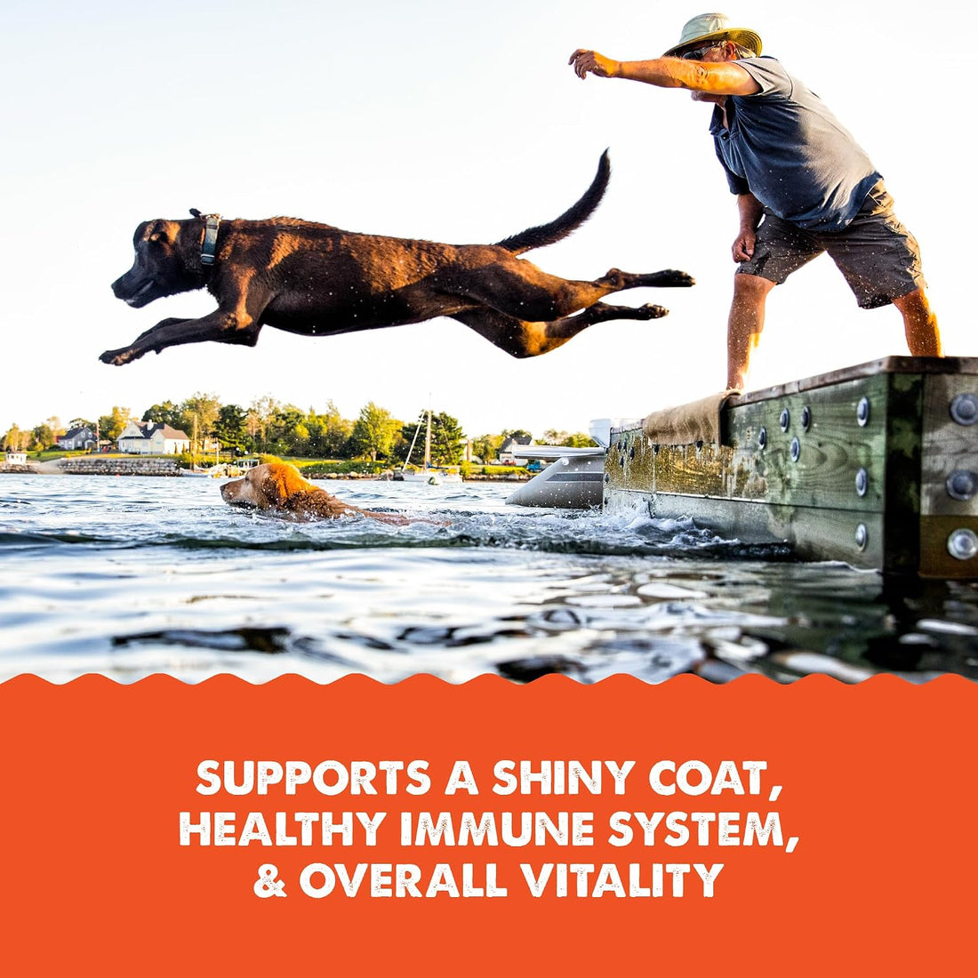 Grizzly Wild Alaskan Salmon Oil Dog Food Supplement Omega 3 Fatty