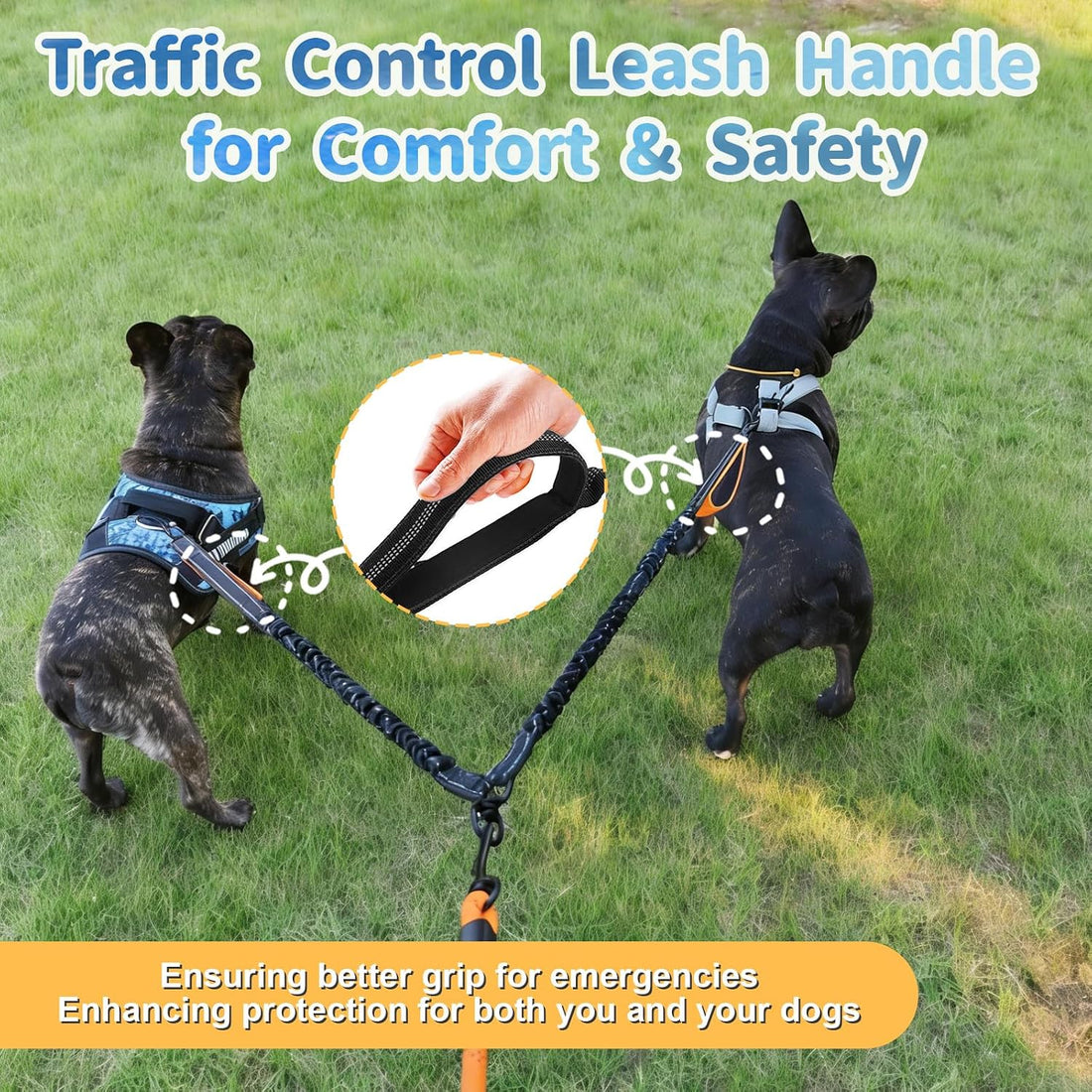 Double Dogs Leash - Removable Main Lead Rope with Splitter