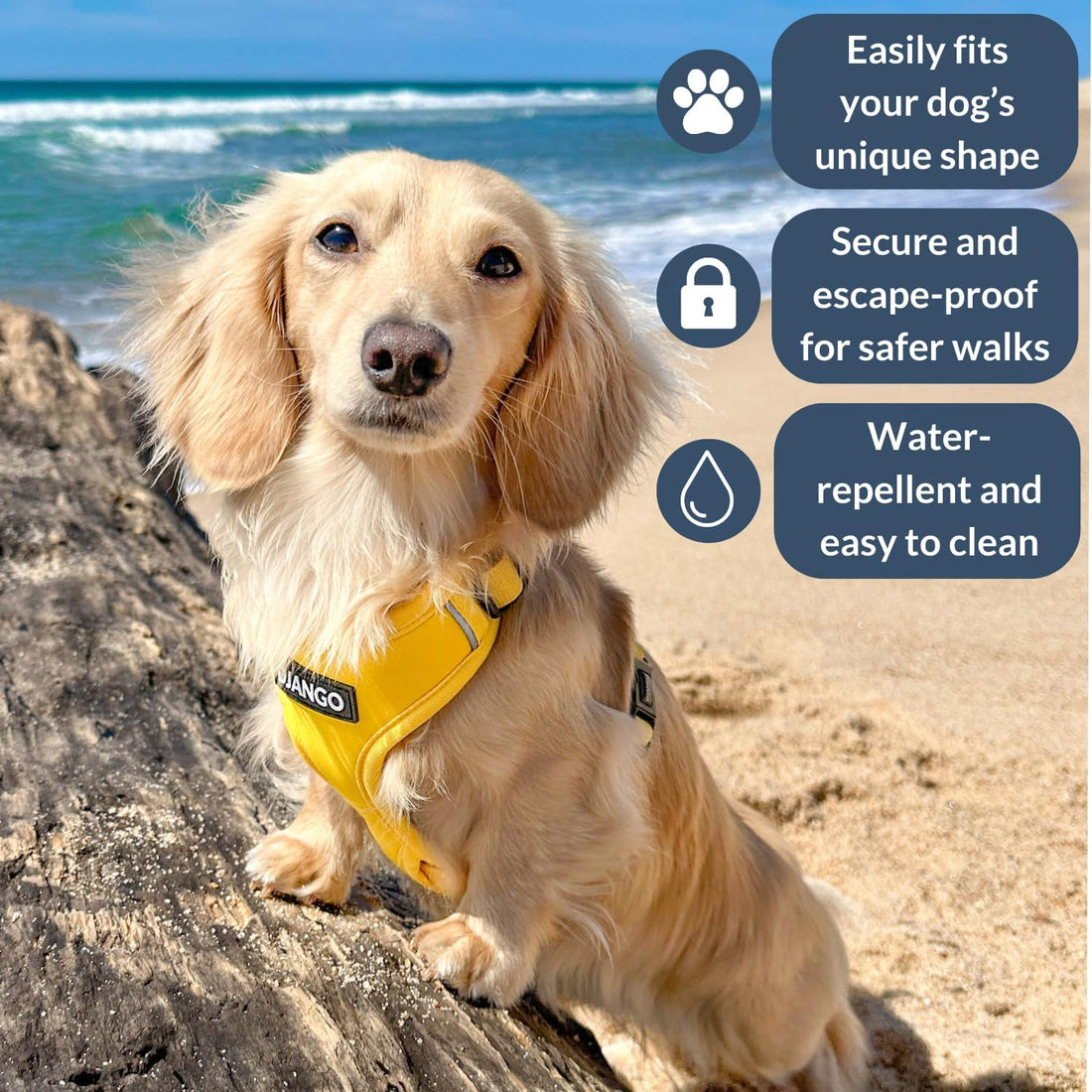 DJANGO Adventure Dog Harness