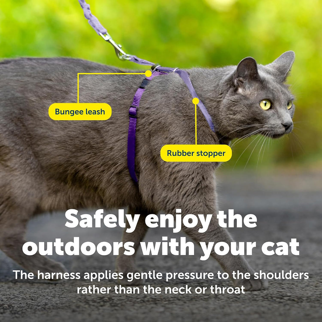 PetSafe Come with Me Kitty Harness and Bungee Leash Adjustable