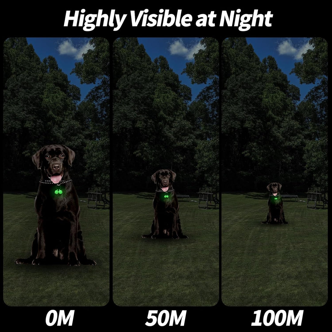Whimsii Bells for Dog Collar, Glow Bell for Medium to Large Dogs