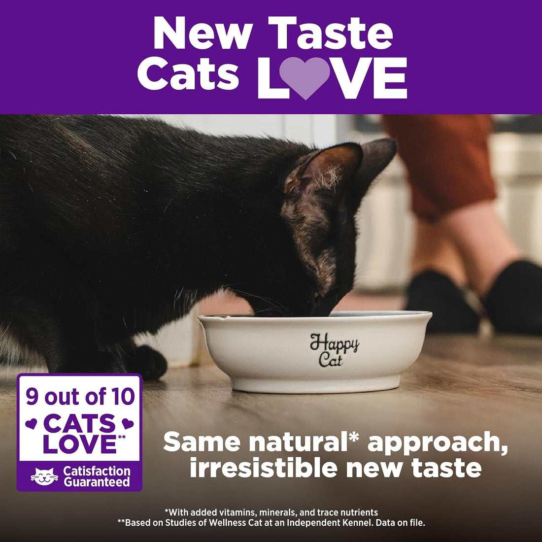 Wellness Complete Health Adult Dry Cat Food for Indoor Cats, Natural