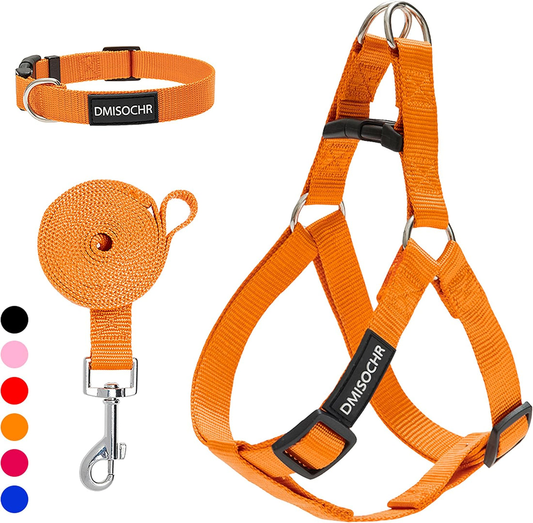 No Pull Dog Harness, Leash & Collar Set, Adjustable Step-in Vest
