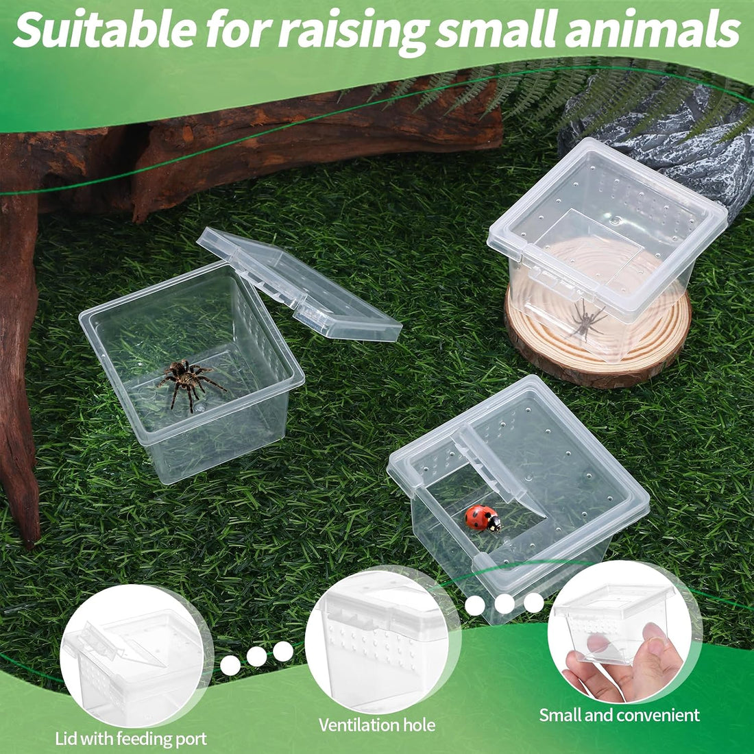 10Pcs Plastic Critter Keeper Transparent Cricket Keeper for Reptiles
