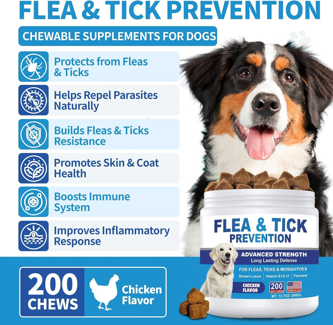 Flea and Tick Prevention for Dogs Chewables 200Ct
