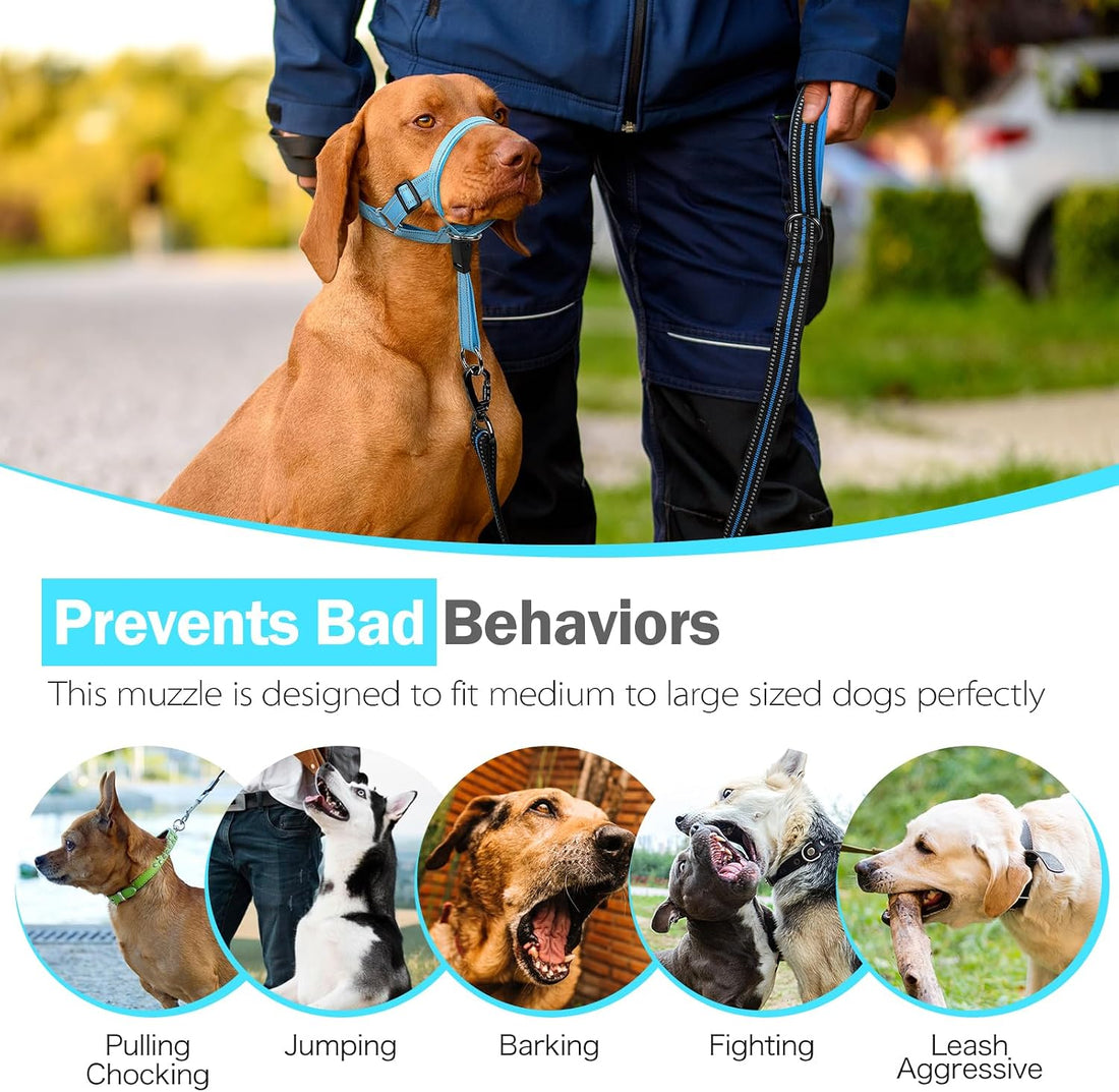 Weesiber No-Pull Dog Head Collar