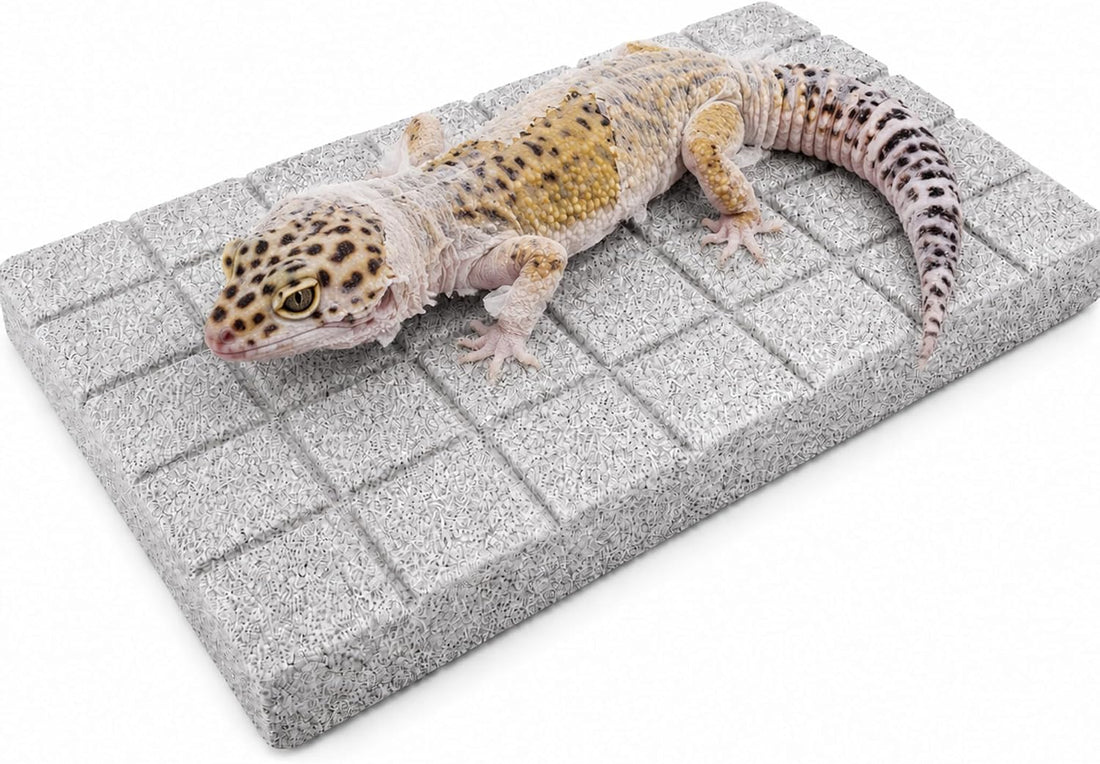 Gecko Shedding Pad, Natural Volcanic Rock Rubbing Stone for Reptile