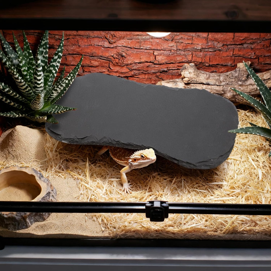 Tlence 3 Pack Reptile Basking Platform