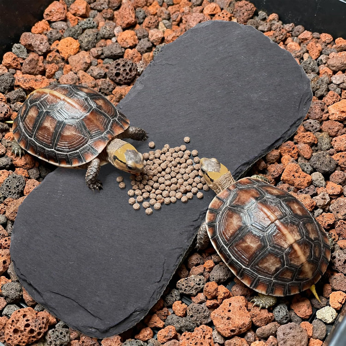 Tlence 3 Pack Reptile Basking Platform