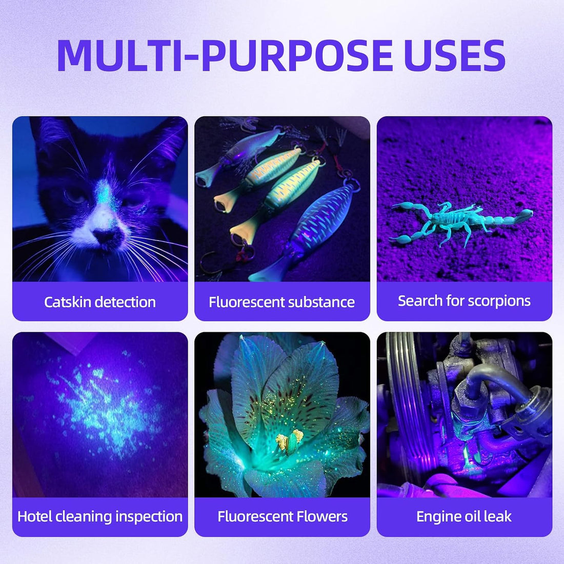 UV Flashlight Black Light–Small Portable Mini 12 LED Blacklight