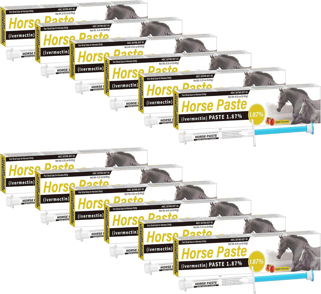 Equine Paste 1.87% – 12 Pack (6.08g) Apple Flavored Oral for Horses