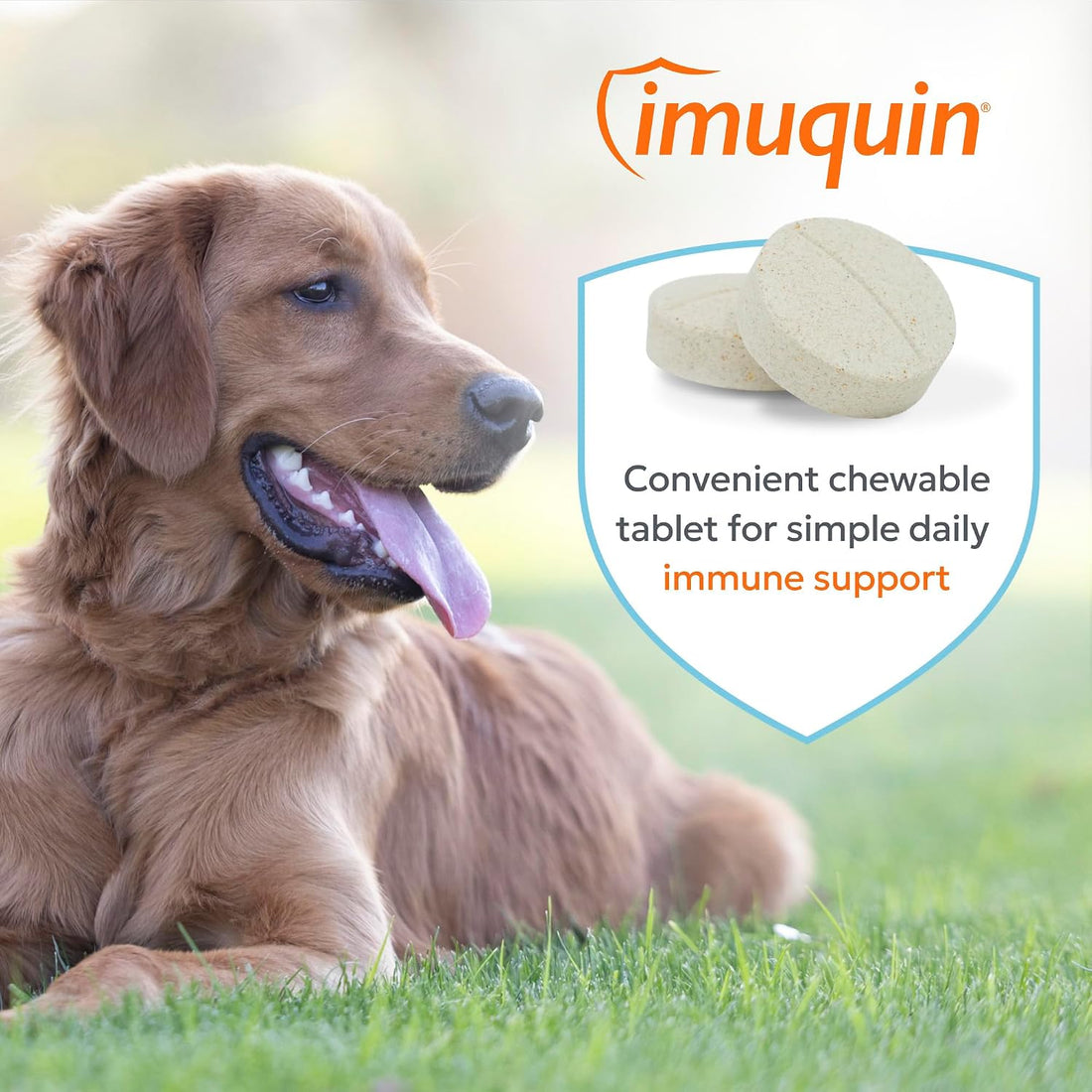 Nutramax Immune Support Supplement for Dogs, Chewable