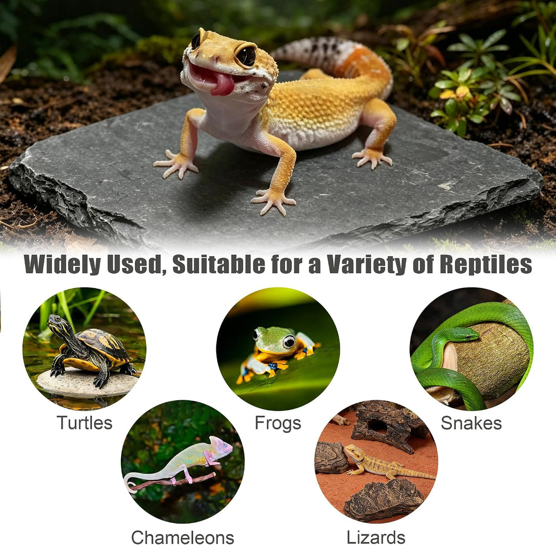 Turtle Basking Platform Slate, Reptile & Tortoise Rock, 3.9X3.9 in