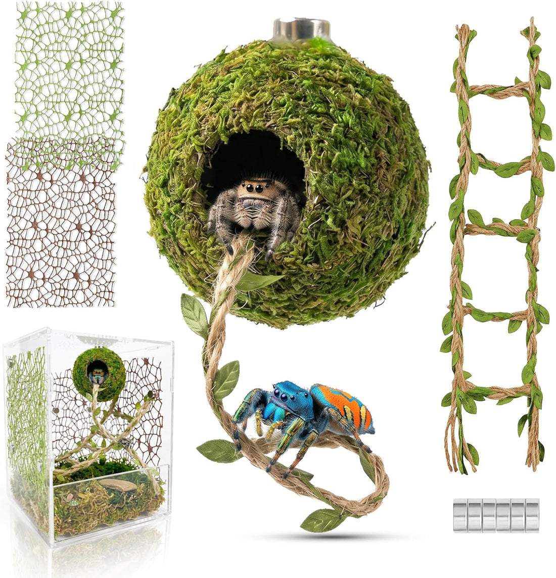 Magnetic Jumping Spider Accessories - Hideout Ball with Wood Shelter