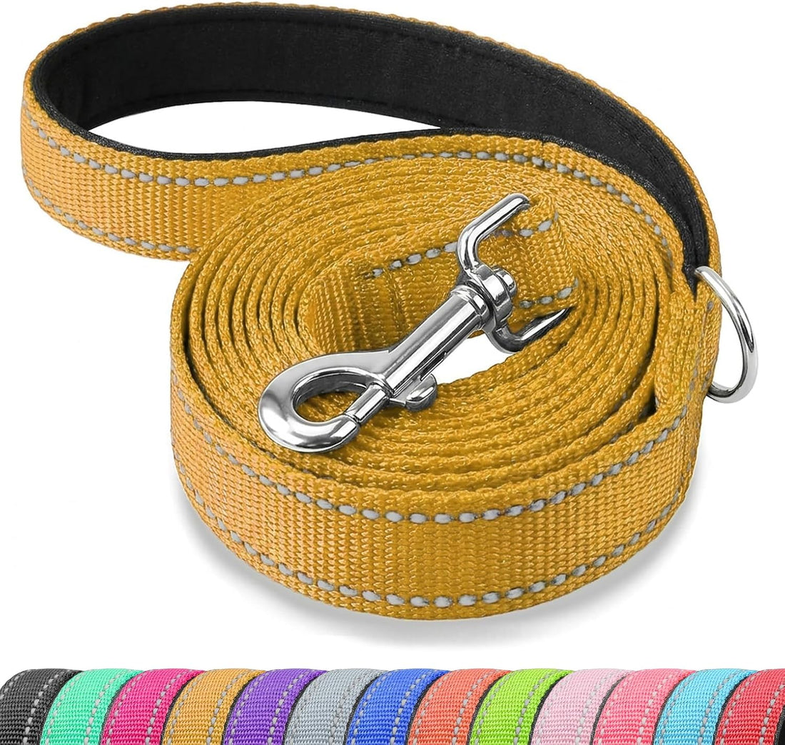 Reflective Dog Leash with Padded Handle for Medium Large Dogs