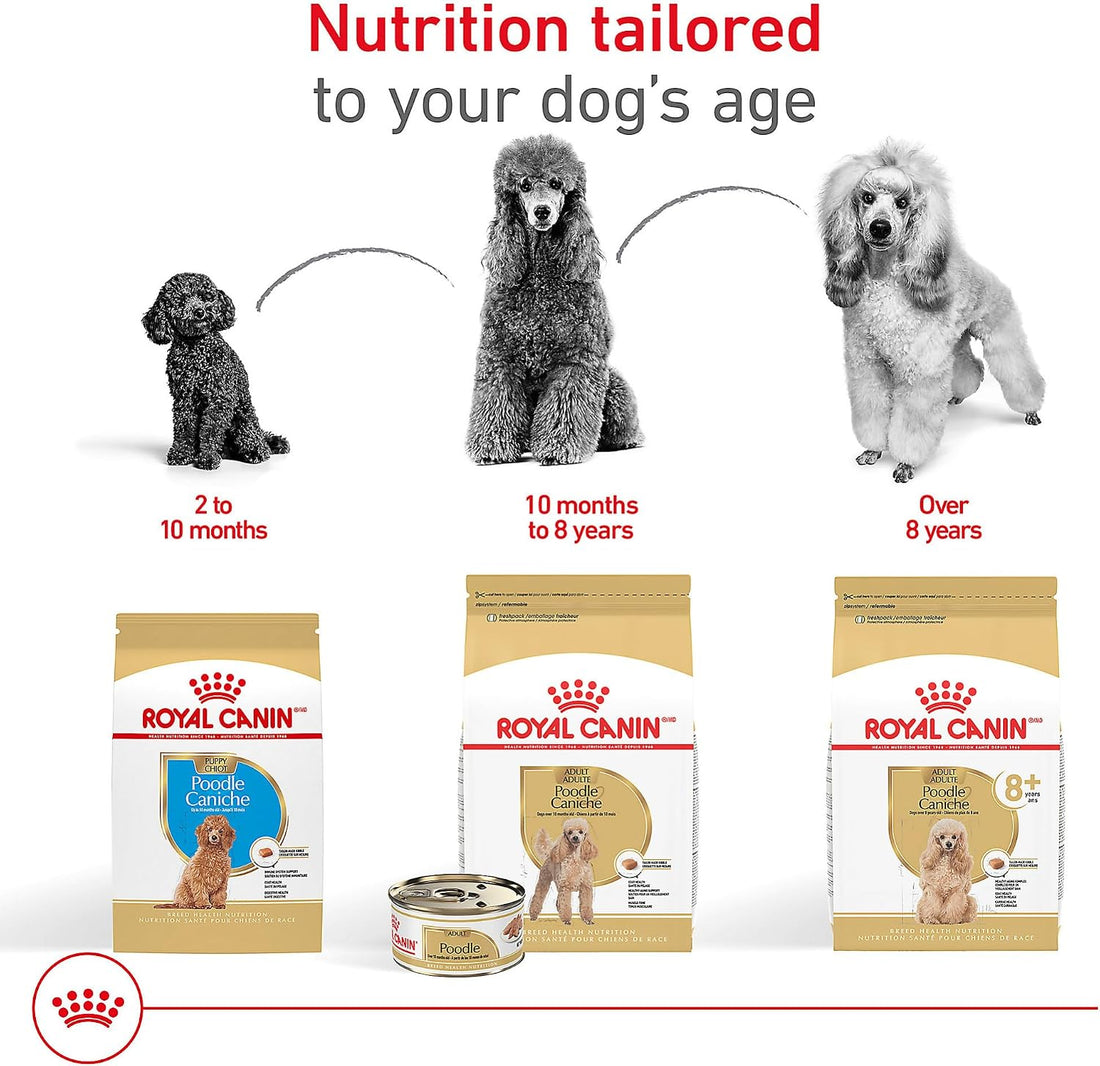 Royal Canin Poodle Adult Wet Dog Food, 3 oz, 6-Pack