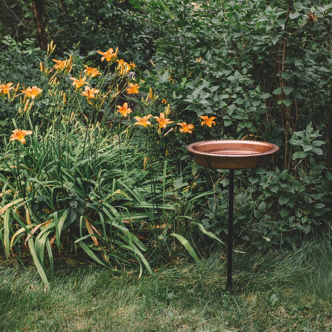 Backyard Expressions Bird Baths for Outdoors