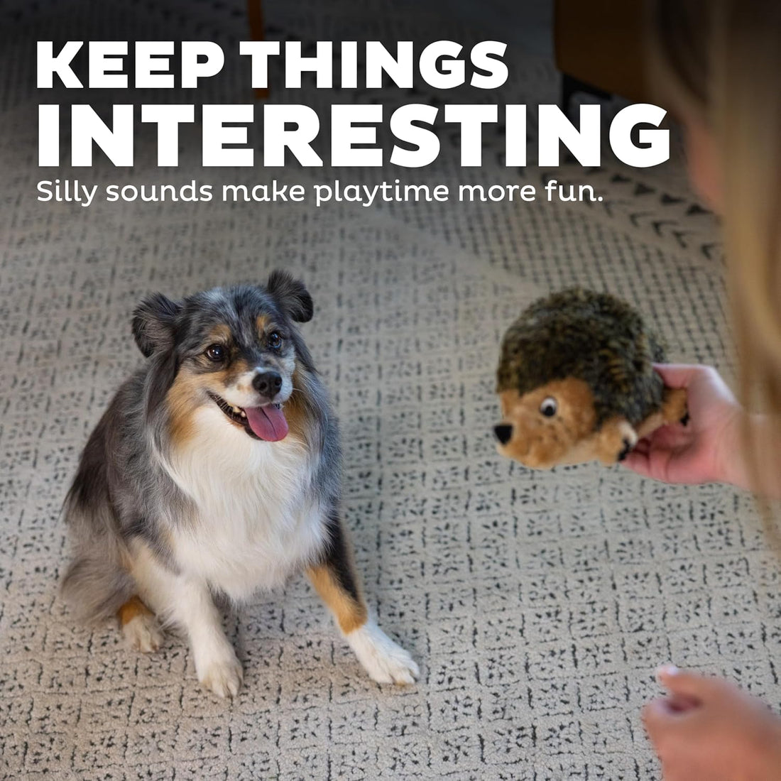Outward Hound Hedgehogz Stuffed Dog Toy – Soft Plush Hedgehog