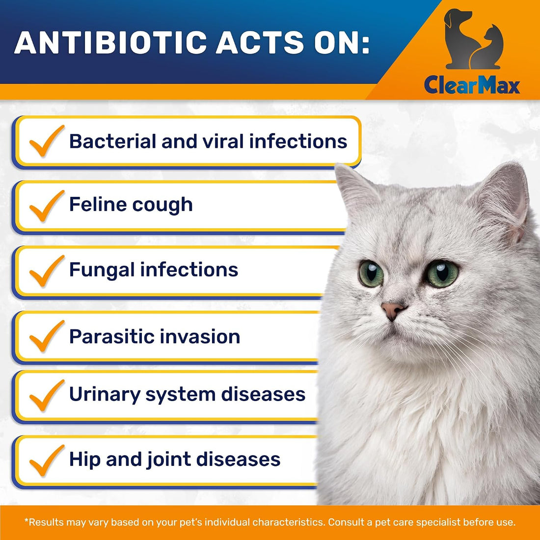 Cat Antibiotic Respiratory Support During Cough & Allergies