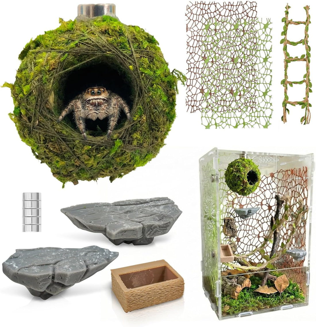 Jumping Spider Enclosure Accessories Kit - Magnetic Moss Ball Hideout