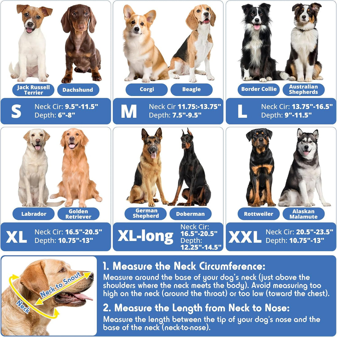 Dog Cone, Transparent Recovery Collar for Large Dogs