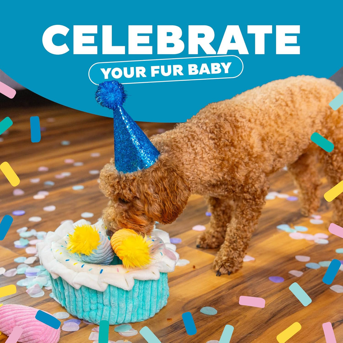 Outward Hound Hide-A-Birthday-Cake Dog Toy