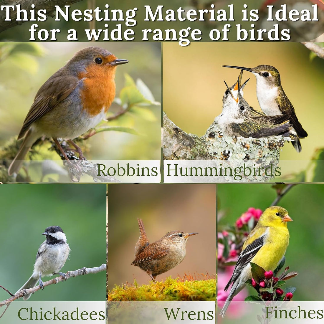 Hummingbird Nesters Bird Nesting Material Holder for Wild Birds