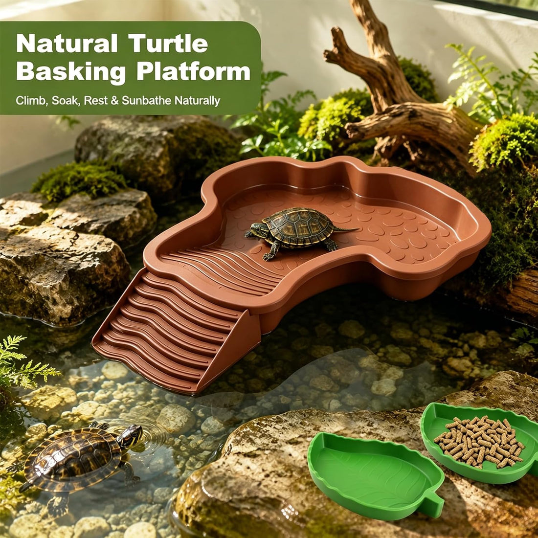 3 Pcs Reptile Bathing Pool Set