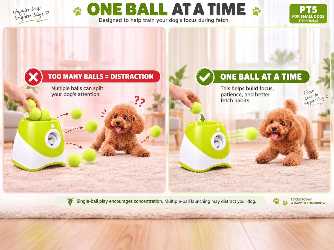 PT5 Automatic Dog Ball Launcher for Small Dogs