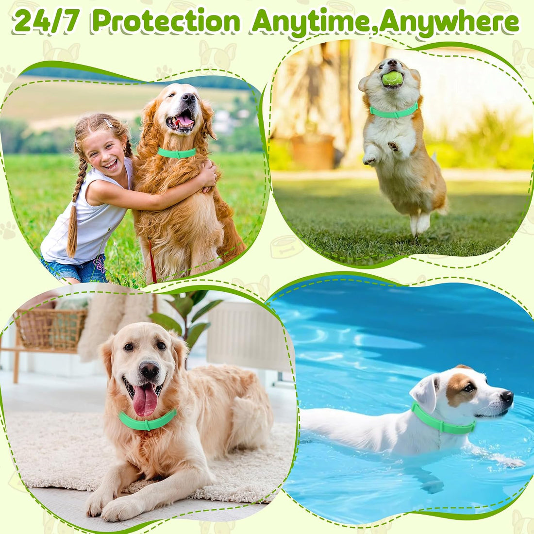 Dog Collar 2packs
