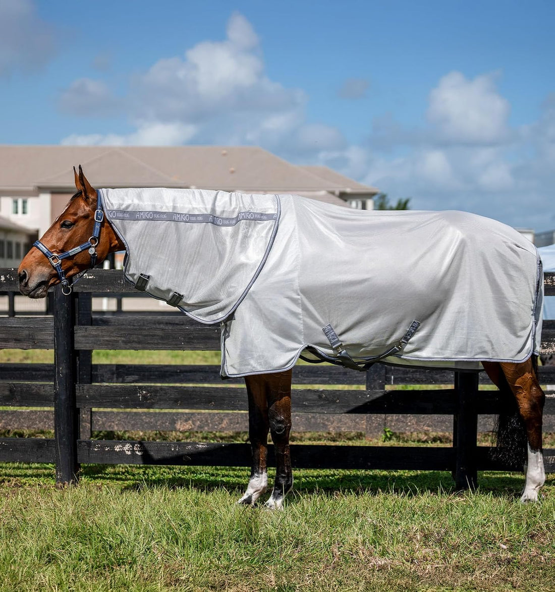 Horseware® Amigo® Bug Rug Plus Fly Sheet