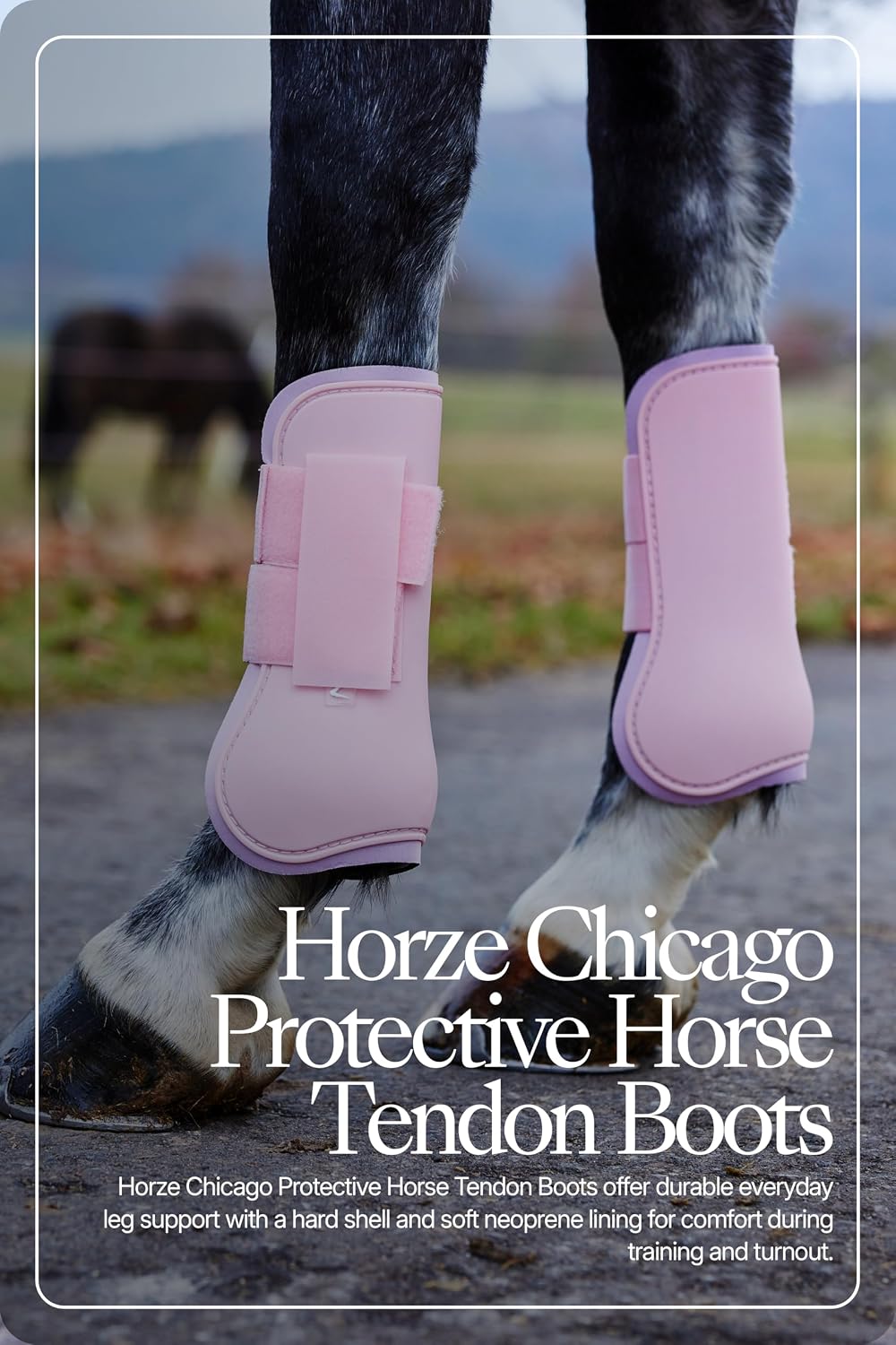 HORZE Chicago Protective Horse Boots